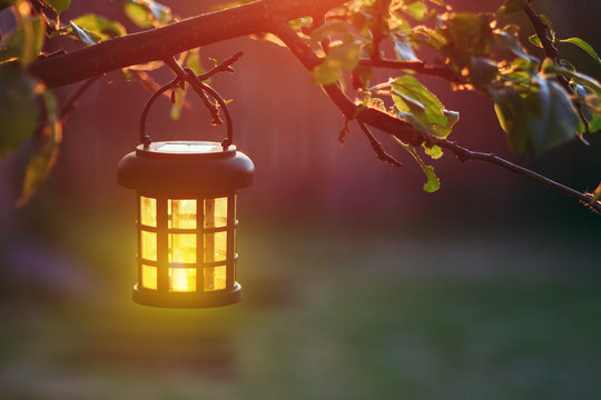 Lantern In Tree Images – Browse 224,246 Stock Photos, Vectors, and Video |  Adobe Stock