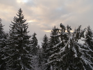 aerial view of fresh snow covered winter forest in high mountains in sunset on christmas eve