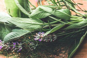 Obraz premium Provence Herbs. Rustic bouquet with salvia, lavender, dill, rosemary &nbsp;