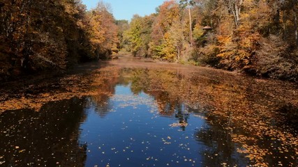 drone shot above water surface in autumn forest