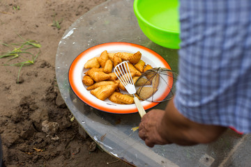 Baursak national kazakh food on the plate at Nauryz celebration