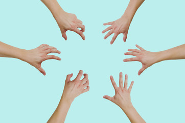 Top view of hands reaching for something isolated on a green, pastel background. The concept of wanting to grab something, gain. - obrazy, fototapety, plakaty