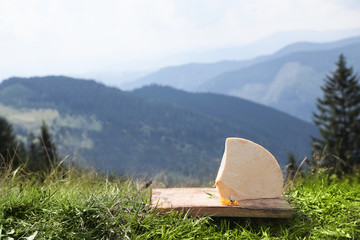 Wooden board with delicious cheese on grass in mountains. Space for text