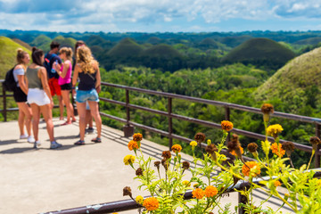 BOHOL, PHILIPPINES - FEBRUARY 23, 2018: View of the flowers on the background of the Chocolate hills. With selective focus.