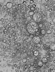 bubbles in water close-up black-and-white background
