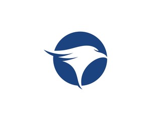 Falcon Eagle Bird Logo Template