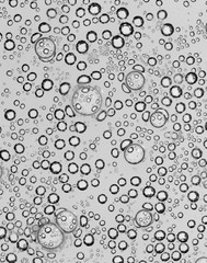 bubbles in water close-up black-and-white background