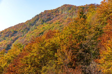 Obraz premium Mount Cochiaze over Sella Carnizza in the The Regional Natural Park of the Julian Alps.