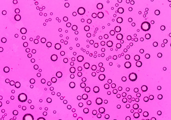 purple bubbles in water close-up abstract background
