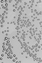 Naklejka na ściany i meble bubbles in water close-up black-and-white background