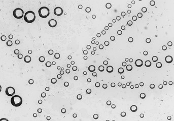bubbles in water close-up black-and-white background