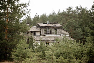 Старый дом среди хвойного леса