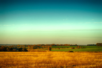 Fototapeta premium autumn field after the harvest of wheat