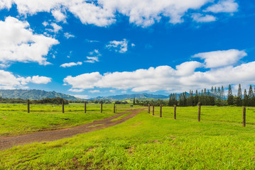 View of the mountain landscape, Kauai, Hawaii, USA.