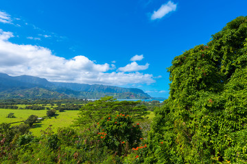 Fototapeta premium View of the mountain landscape, Kauai, Hawaii, USA. Copy space for text.