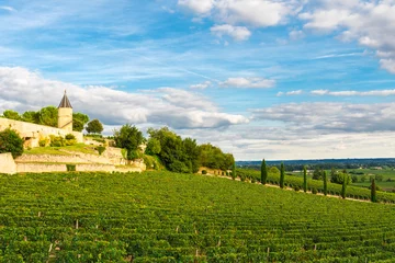 Fotobehang Vineyards of Saint Emilion, Bordeaux Wineyards in France © samael334