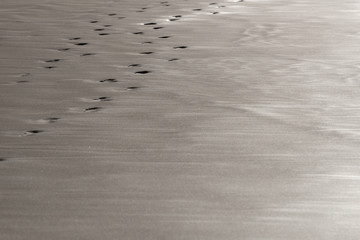 Footprints in a wet sand