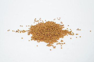 Dried mustard seeds. Yellow mustard sprouted on a white background. The concept of using herbs and spices for dishes. Strong taste of dishes. Improving the taste.