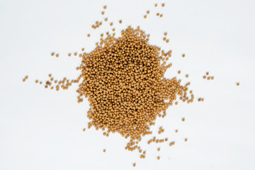 Dried mustard seeds. Yellow mustard sprouted on a white background. The concept of using herbs and spices for dishes. Strong taste of dishes. Improving the taste.