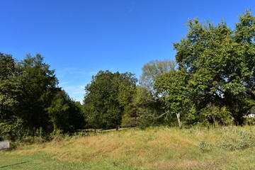 Farmland in Mississippi