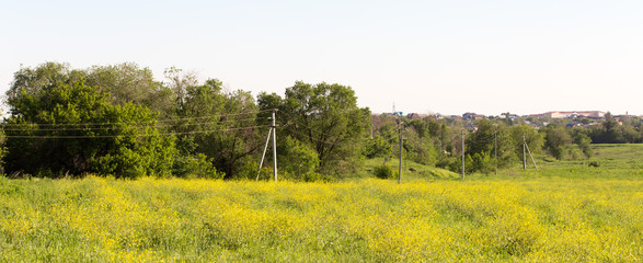 a number of electric poles in nature