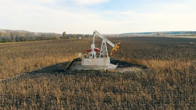 Oil pump near sunflower fields, top view. Damaged crop concept.