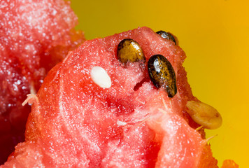 detailed closeup of watermelon