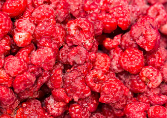 Fresh raspberries background closeup photo