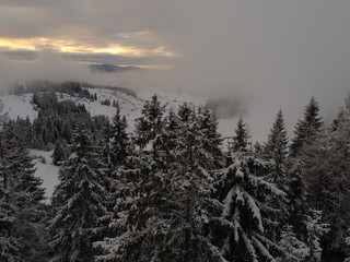aerial view of fresh snow covered winter forest in high mountains in sunset on christmas eve