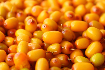 Fresh ripe sea-buckthorn. Close-up. Background. Texture.