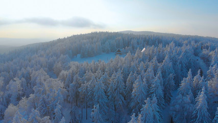 AERIAL: Flying towards a wooden house in the snowy woods on cold winter morning.