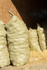 yellow potatoes in a sack