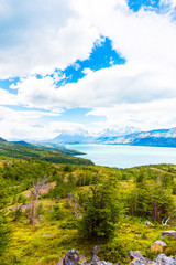 Lake Pehoe, Torres del Paine National Park, Patagonia, Chile, South America. Vertical.