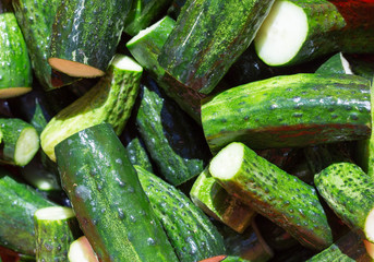 fresh green cucumbers for pickling