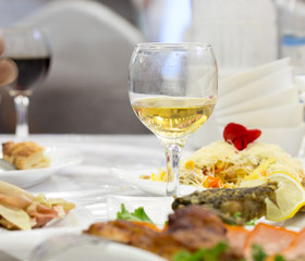 White Wine Glass. Salmon Steak on a Background