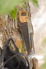carpenter tools