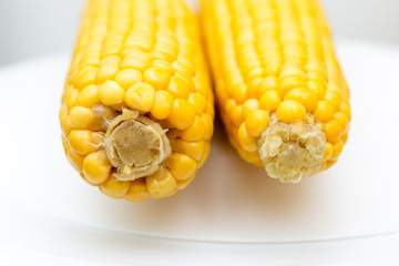 ears of Sweet corn on white background