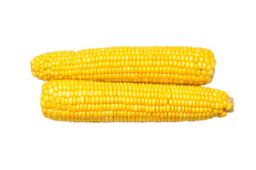ears of Sweet corn on white background