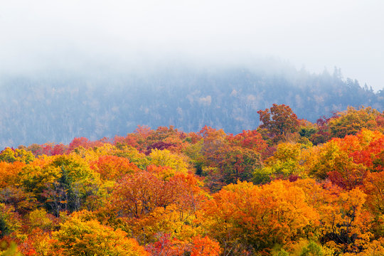 Gorgeous Fall Colors in White Mountains