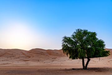 Wahiba Sands in Oman at sunrise. It is known as Sharqiya Sands or Ramlat al-Wahiba.
