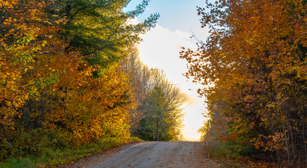 Autumn road