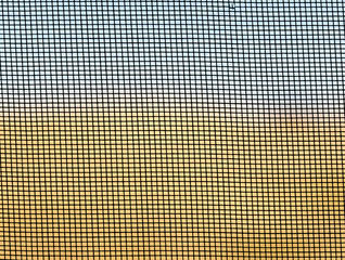 Mosquito wire screen texture on the window