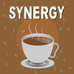 Conceptual hand writing showing Synergy. Business photo text Interaction Cooperation between organizations Teamwork collaboration.