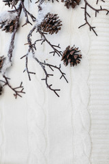 Christmas and New Year composition. Close up snow branches with cones on knitted white background with copy space