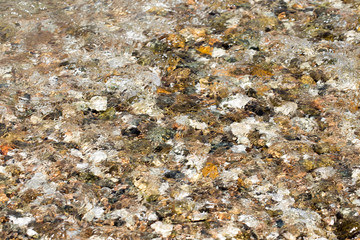 colorful rolling stones sea bottom pattern musk seaweed