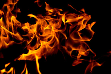 Fototapeta premium Fire flames on black background