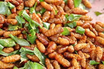Fried insect at street food
