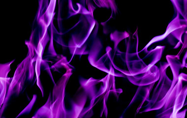 Purple fire flames on a black background