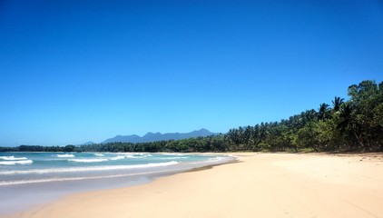 Fototapeta na wymiar Beautiful sea beach. Philippines. Palawan