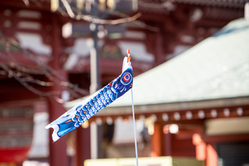 Colorful Koi fish Flag for tour group